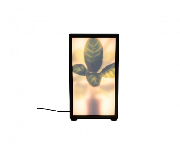 Grow floor lamp